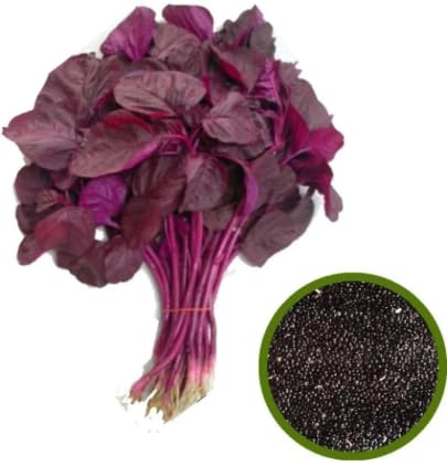 Red Spinach Seeds (Lal Shak) - লাল শাকের বীজ