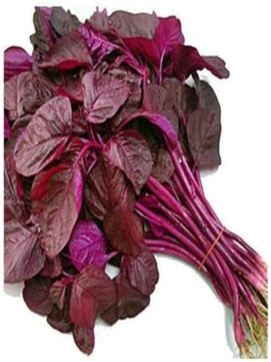Red Spinach Seeds (Lal Shak) - লাল শাকের বীজ