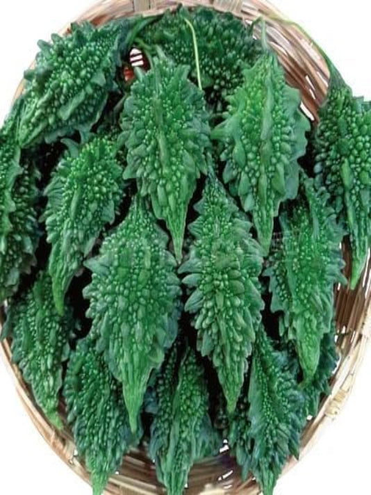 Bolder Bitter Gourd Seeds (Korola) বাংলাদেশি করলা বীজ