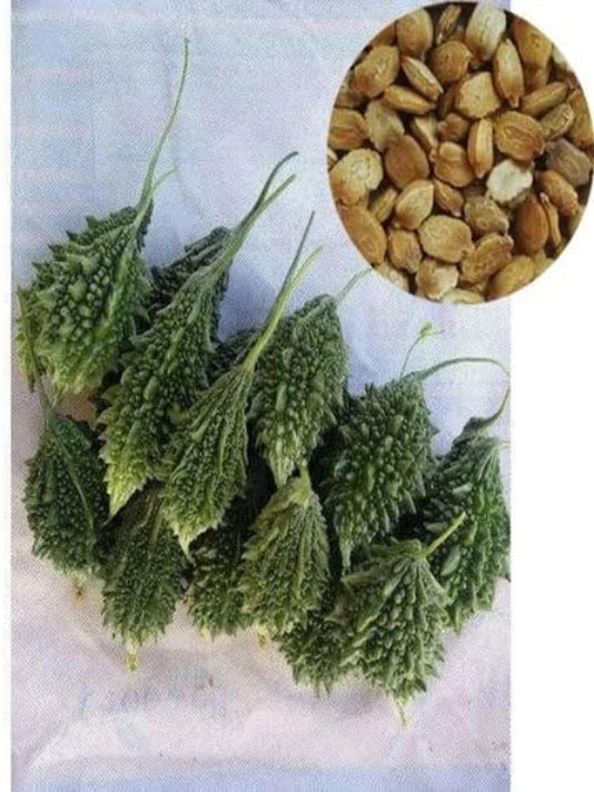 Bolder Bitter Gourd Seeds (Korola) করলা বীজ