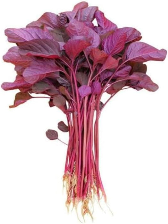 Red Spinach Seeds (Lal Shak) - লাল শাকের বীজ