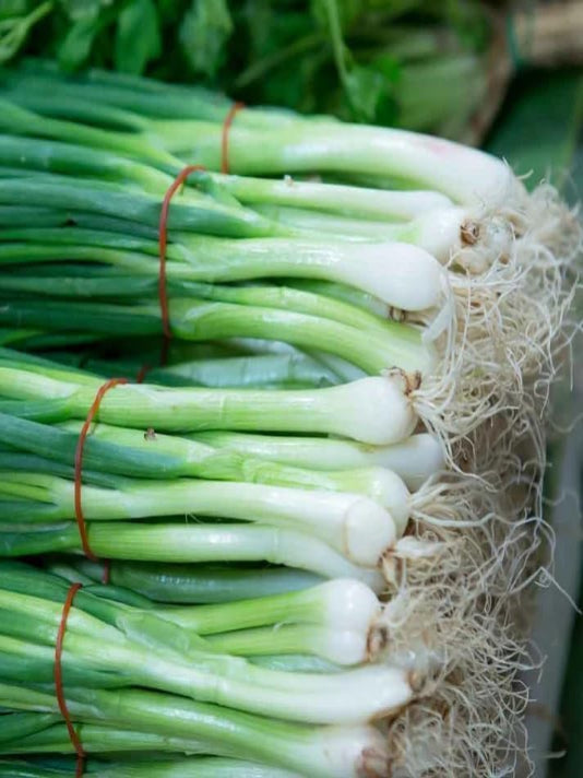 Spring Onion Seeds  - পেঁয়াজ পাতা বীজ