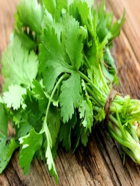 Coriander Seeds - ধনিয়া বীজ