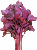 Red Spinach Seeds (Lal Shak) - লাল শাকের বীজ
