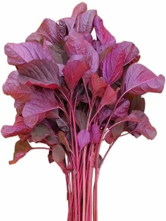 Red Spinach Seeds (Lal Shak) - লাল শাকের বীজ