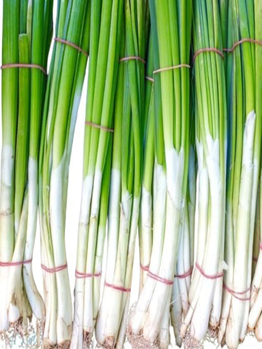 Spring Onion Seeds  - পেঁয়াজ পাতা বীজ