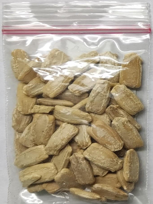 Round Gourd Seeds (Lau) – বাংলাদেশী গোল লাউ বীজ