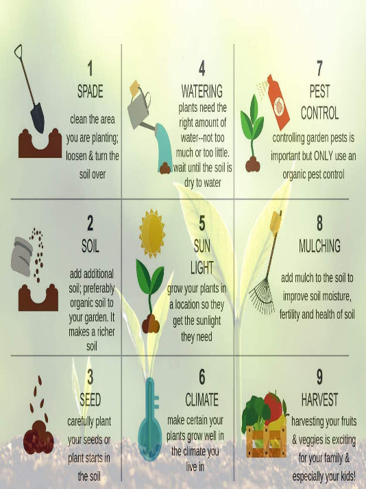 Naga Chilli Seeds - নাগা মরিচ বীজ