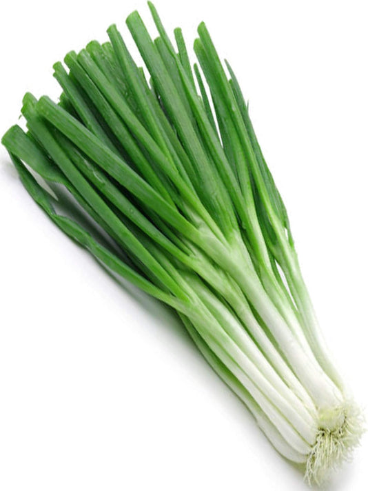 Spring Onion Seeds  - পেঁয়াজ পাতা বীজ