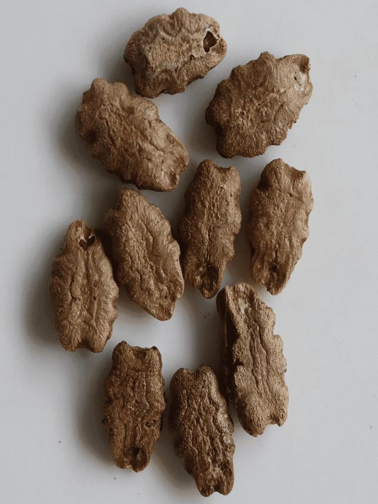 Snake Gourd Seeds (Chichinga) – চিচিঙ্গা বীজ